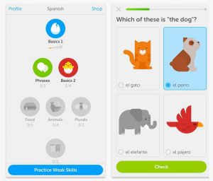 Duolingo - Le 10 migliori App da viaggio del 2016